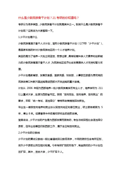 什么是少数民族骨干计划