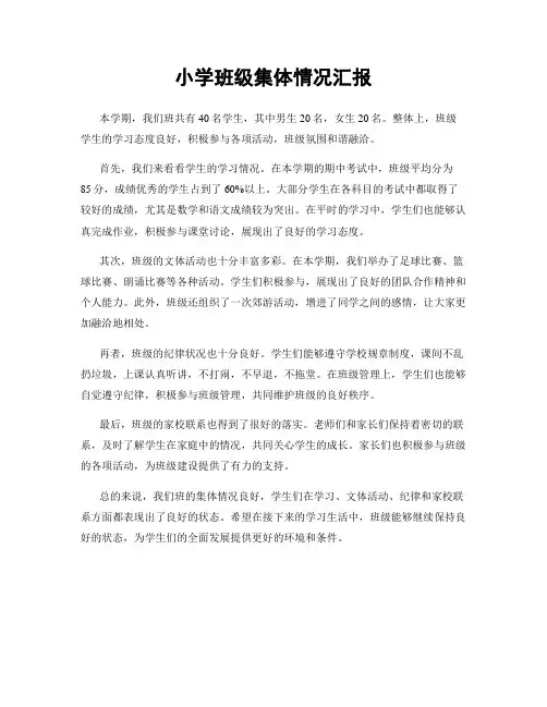 小学班级集体情况汇报