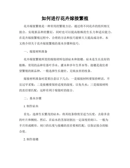 如何进行花卉嫁接繁殖