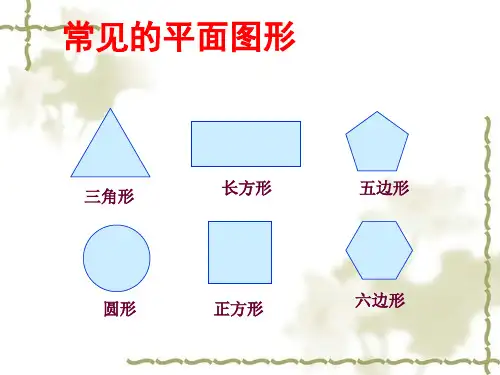 4.1.1几何图形3(展开图)