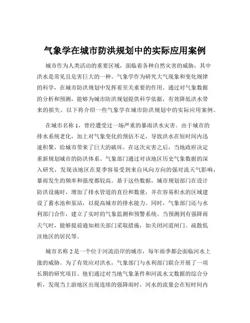 气象学在城市防洪规划中的实际应用案例