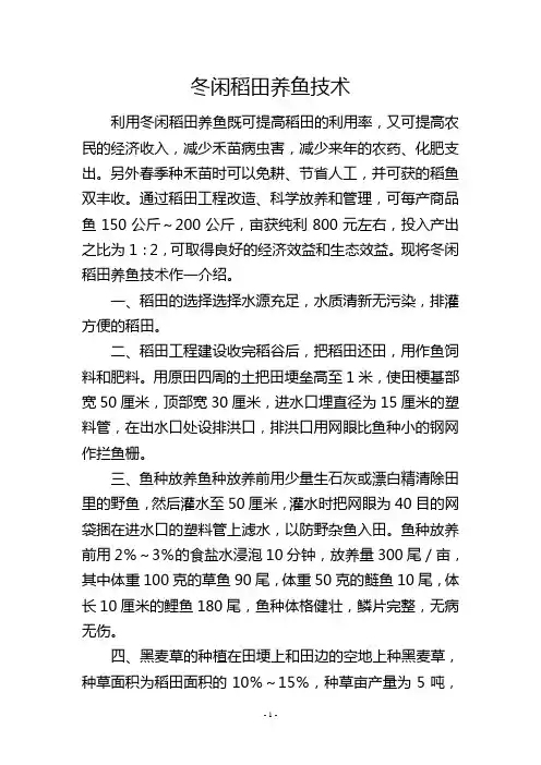 冬闲稻田养鱼技术