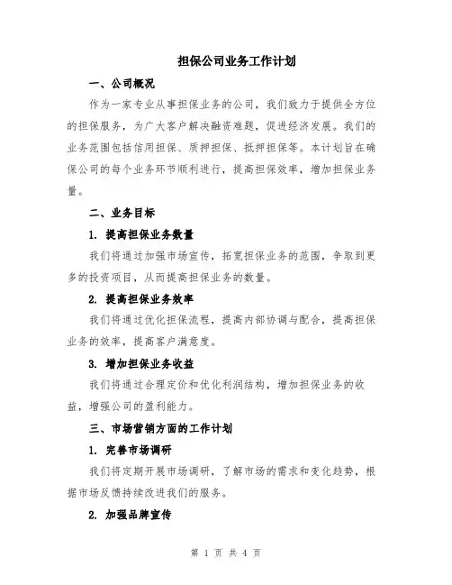 担保公司业务工作计划