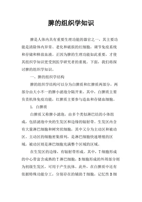 脾的组织学知识