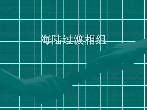 _海陆过渡相组