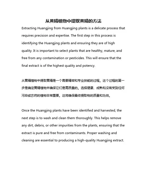 从黄精植物中提取黄精的方法