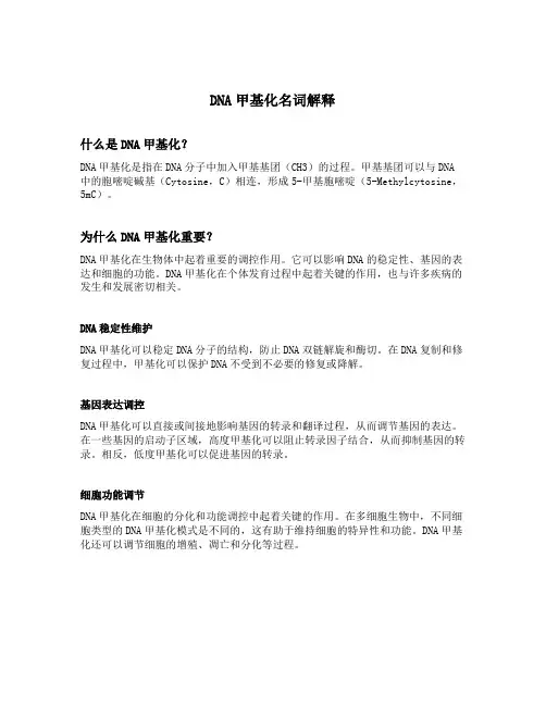dna甲基化名词解释