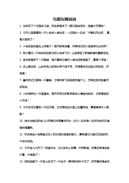 鸟朋友圈说说