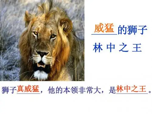27、两只小狮子课件