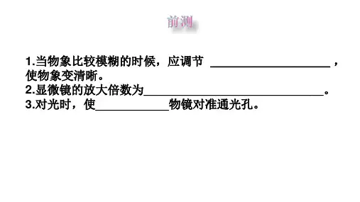 第一章探究奇妙的生命现象章末复习课件(共24张PPT)济南版生物七年级上册