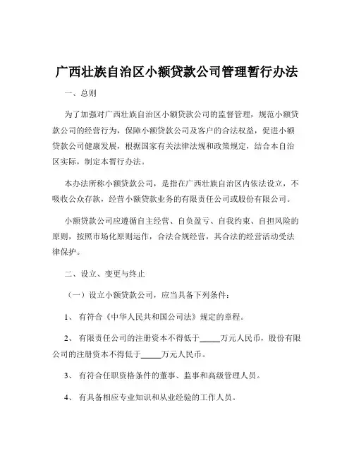广西壮族自治区小额贷款公司管理暂行办法