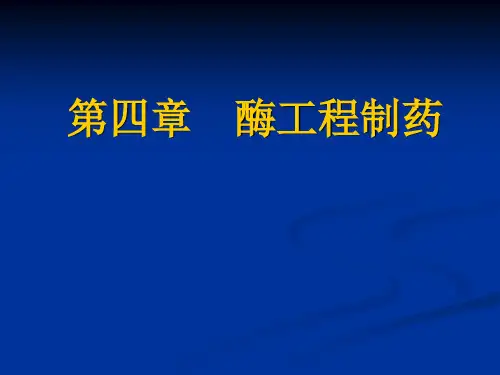酶工程制药