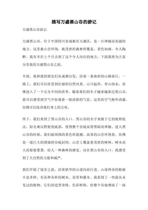 描写万盛黑山谷的游记