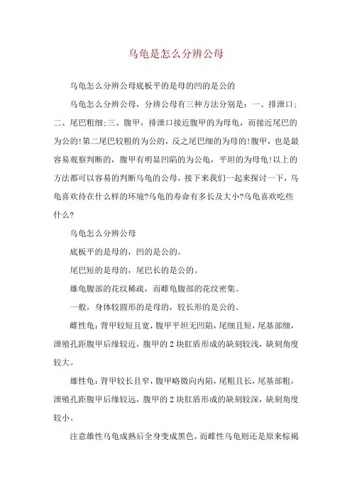 乌龟是怎么分辨公母