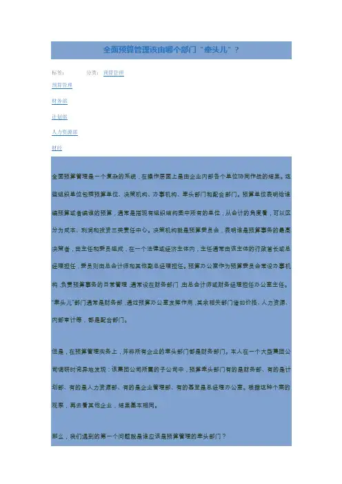 全面预算管理该由哪个部门牵头儿