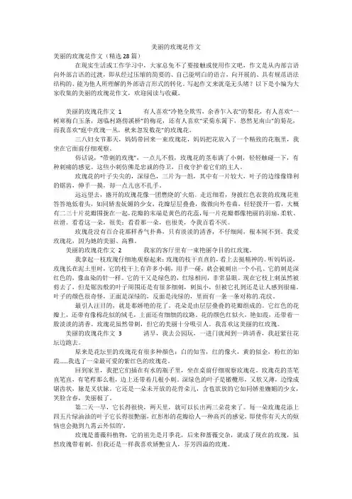 美丽的玫瑰花作文