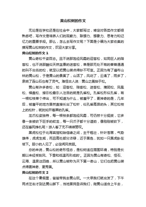 黄山松树的作文