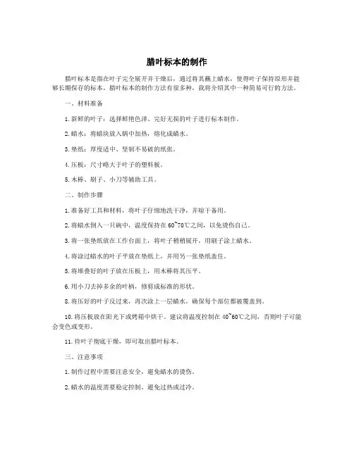 腊叶标本的制作