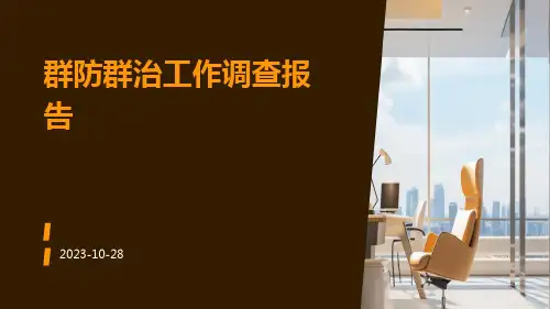 群防群治工作调查报告