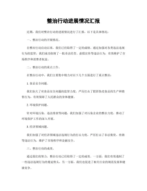 整治行动进展情况汇报