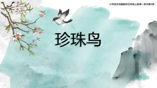 《珍珠鸟》PPT教学课件