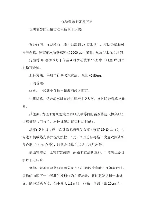 优质葡萄的定植方法