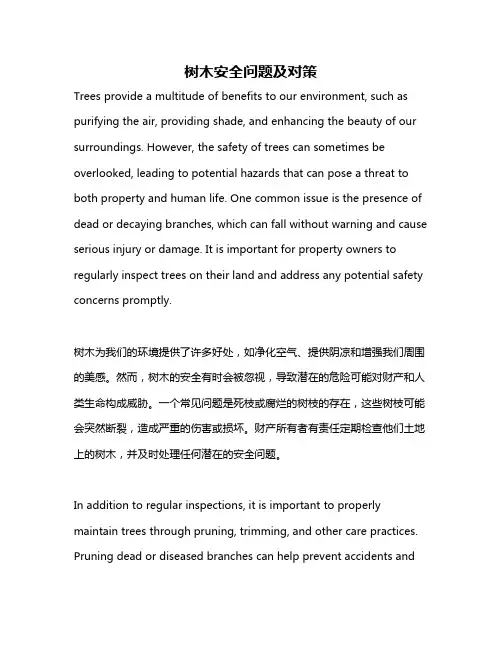 树木安全问题及对策