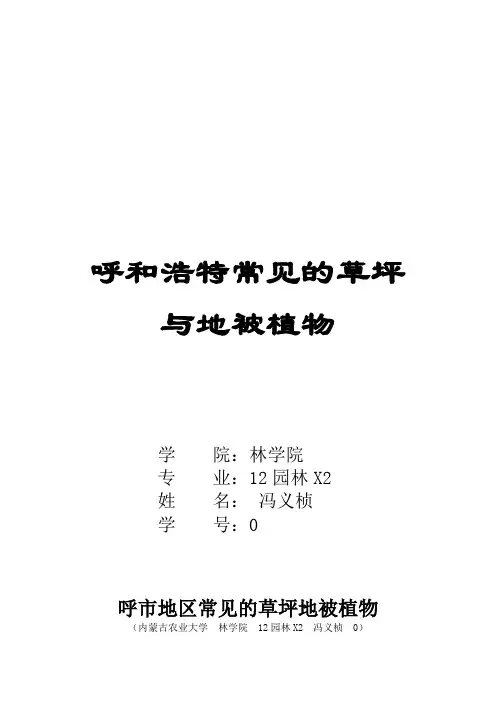 呼市地区常见的草坪地被植物