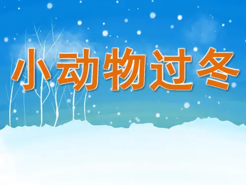 幼儿园科学《小动物过冬》课件ppt