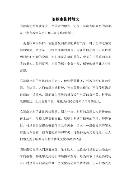 临颍南街村散文