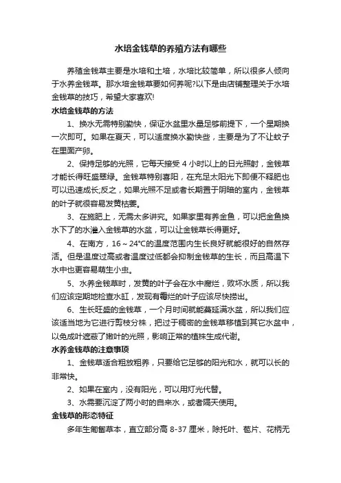 水培金钱草的养殖方法有哪些
