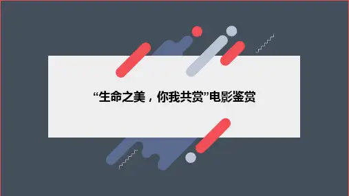 “遇见你之前”电影观后感PPT
