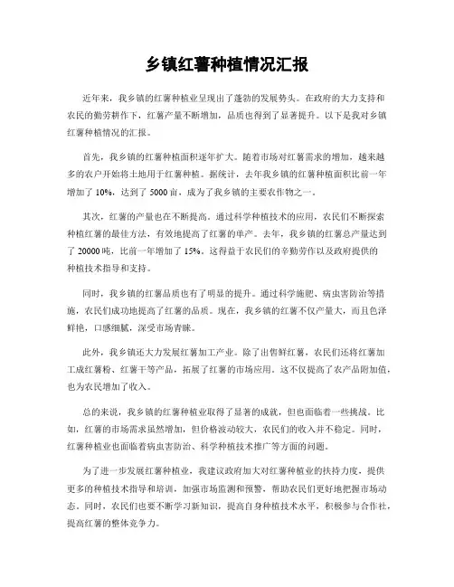 乡镇红薯种植情况汇报