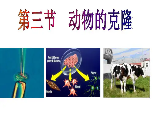 动物克隆专题知识讲座