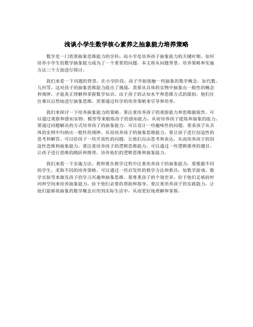 浅谈小学生数学核心素养之抽象能力培养策略