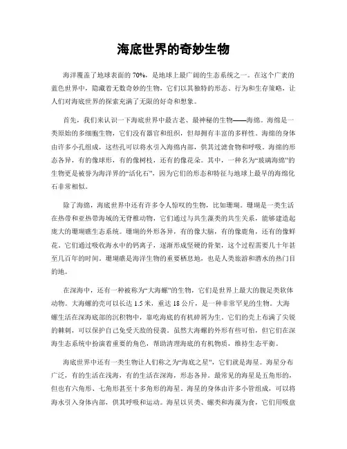 海底世界的奇妙生物