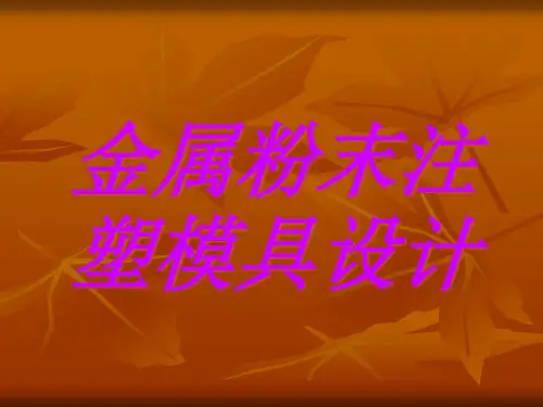 金属粉末注塑模具