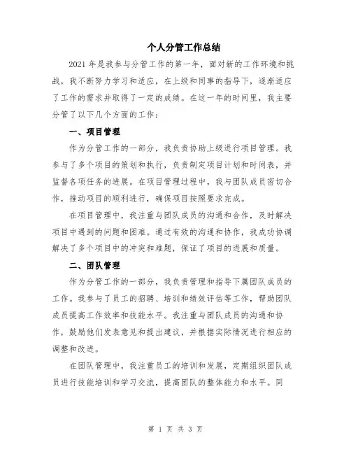 个人分管工作总结