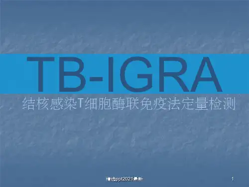 TB-IGRA结核感染T细胞检测ppt课件
