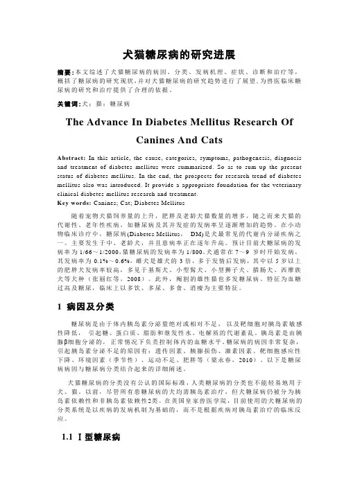 犬猫糖尿病的研究进展