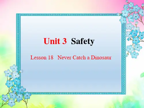 Unit 3 Safety Lesson 18 课件(共32张PPT)