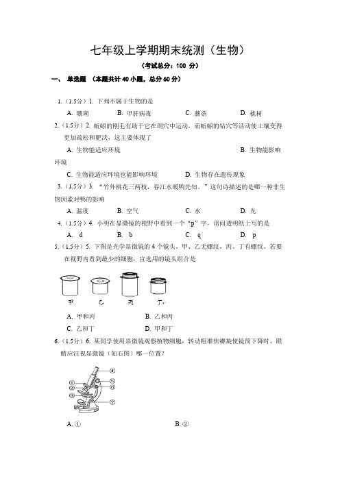 七年级上学期期末统测(生物)试题含答案