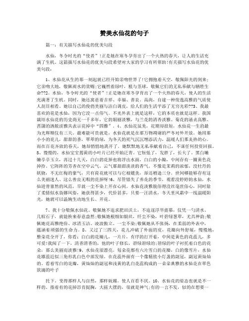 赞美水仙花的句子