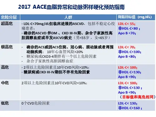 2017 AACE 指南