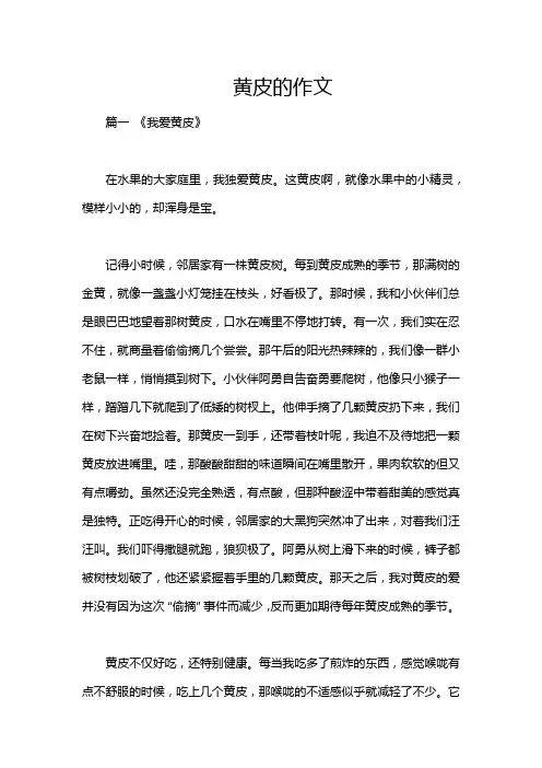 黄皮的作文