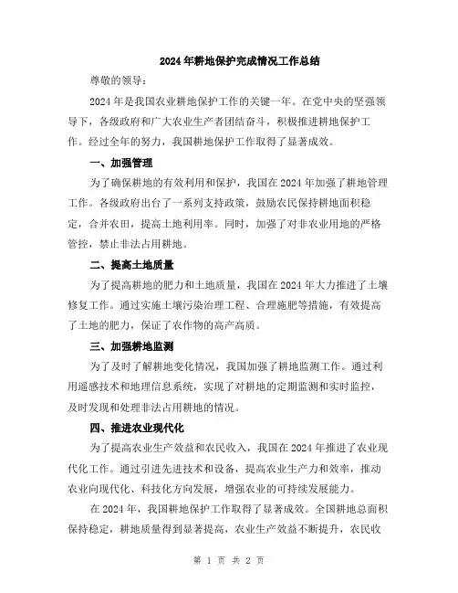 2024年耕地保护完成情况工作总结