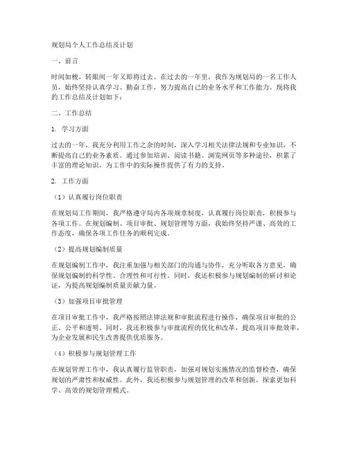规划局个人工作总结及计划