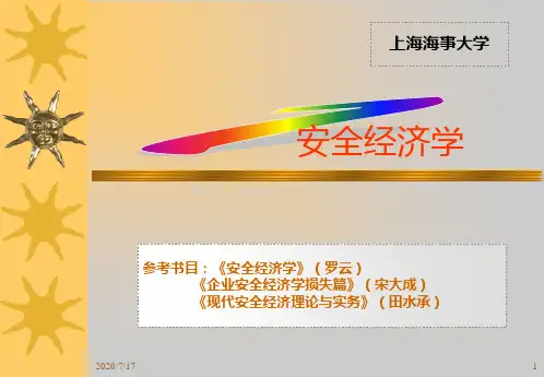 安全经济学PPT课件