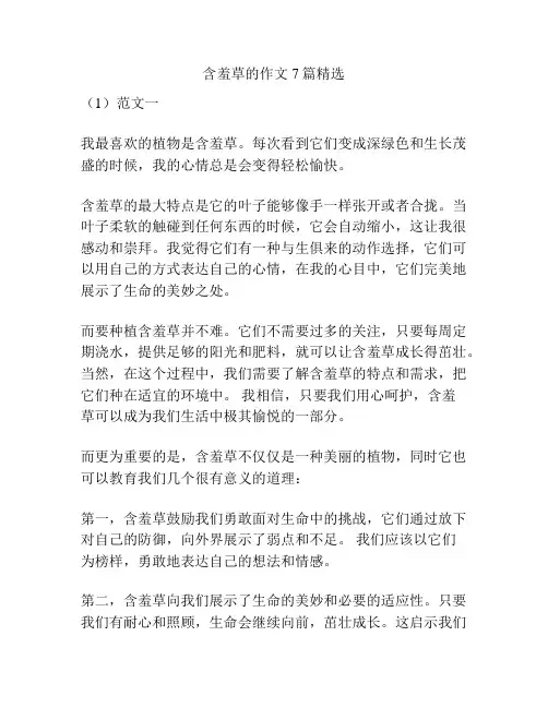 含羞草的作文7篇精选