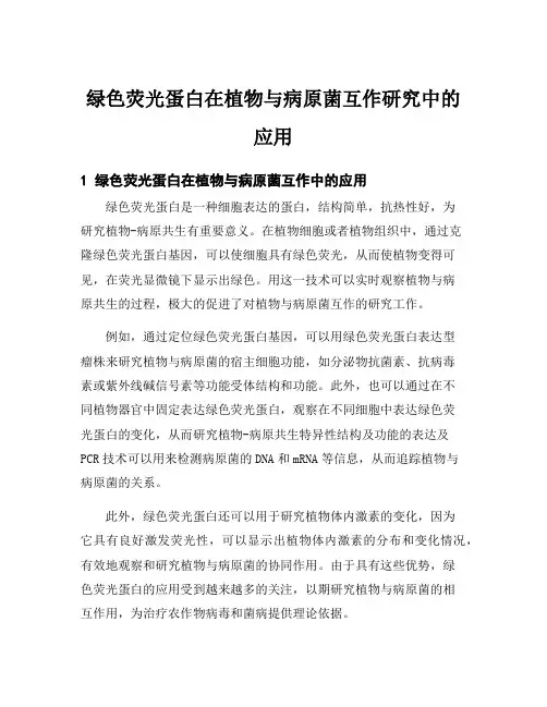 绿色荧光蛋白在植物与病原菌互作研究中的应用